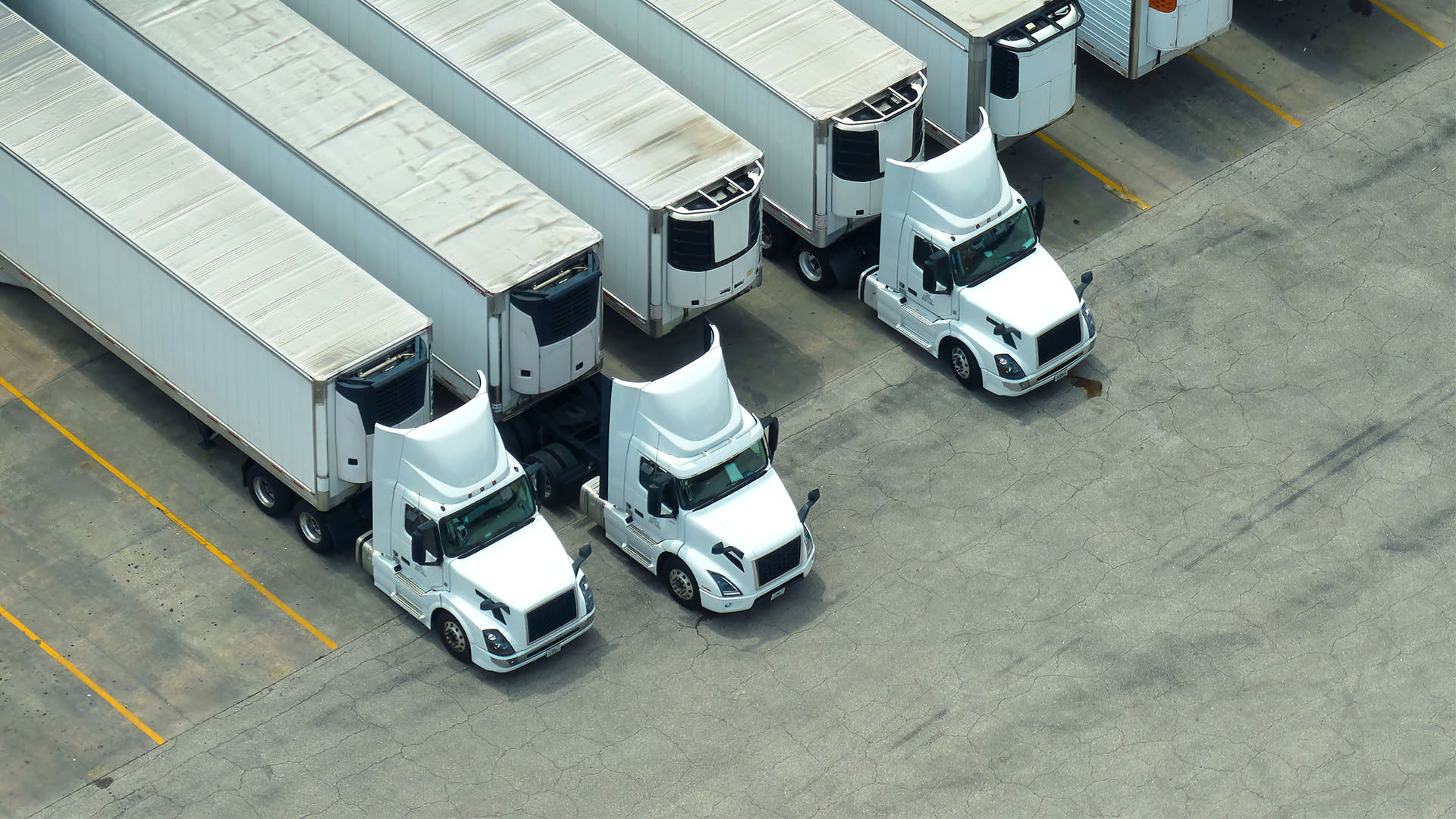 CDL School Schaumburg. 15Year CDL Experts. Wolf Driving School
